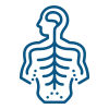 icons8-sistema-nervioso-100